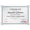 Сертификат Avaya 2007